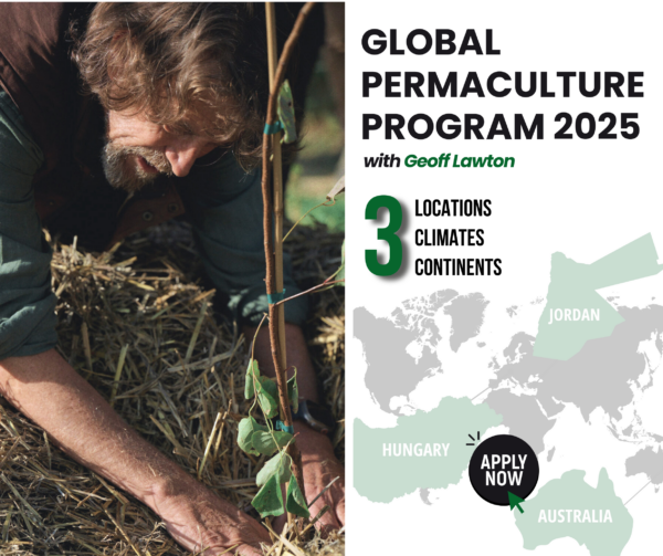 Global Permaculture Program with Geoff Lawton - PHASE I, HUNGARY