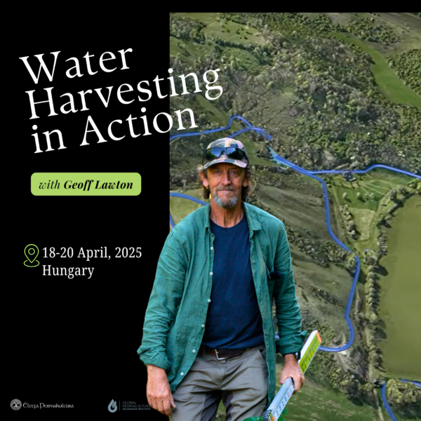 Water Harvesting in Action with Geoff Lawton